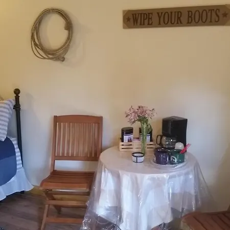 Lonesome Dove Ranch-2